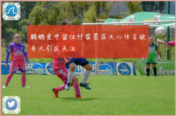 鹈鹕重申留住特雷墨菲决心传言被夸大引发关注